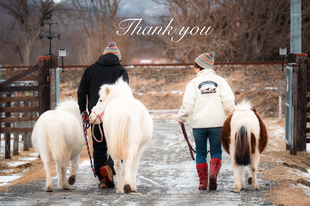 応援メッセージのご紹介12