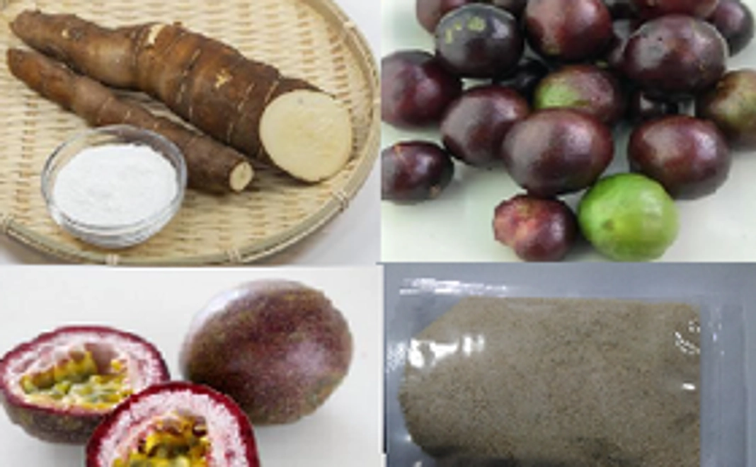 トロピカルフルーツ2種とキャッサバ芋（市場価格4,000円相当）