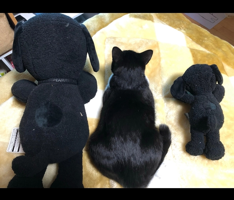 100%を超えてのご支援誠にありがとうございます！