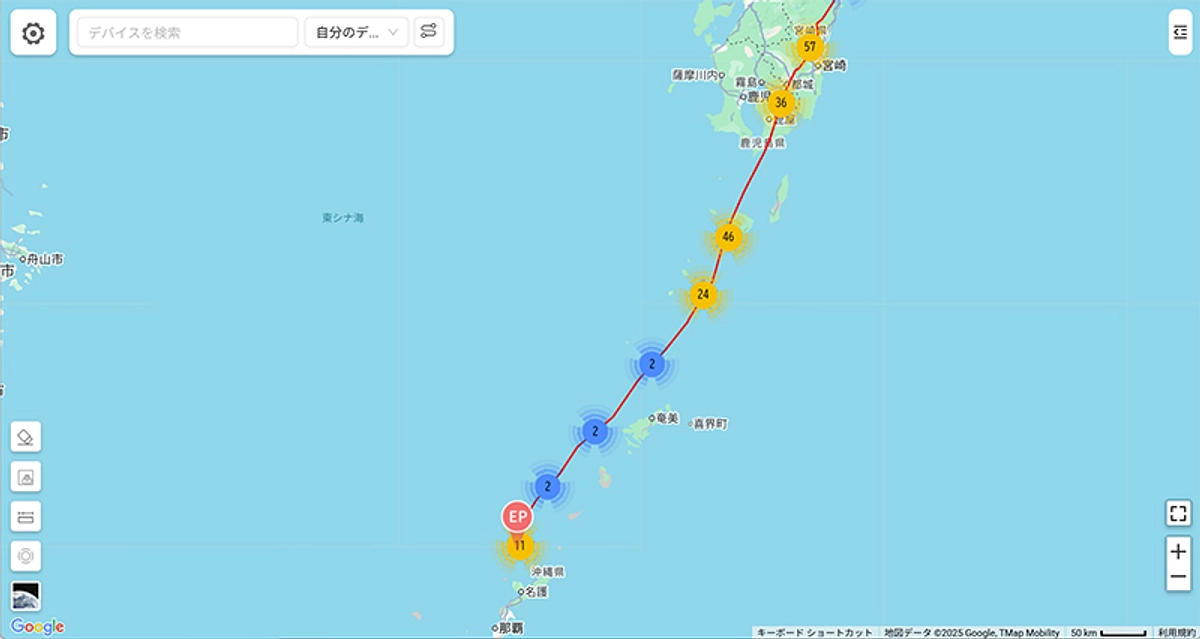 【速報】サシバの渡り報告　10月８日