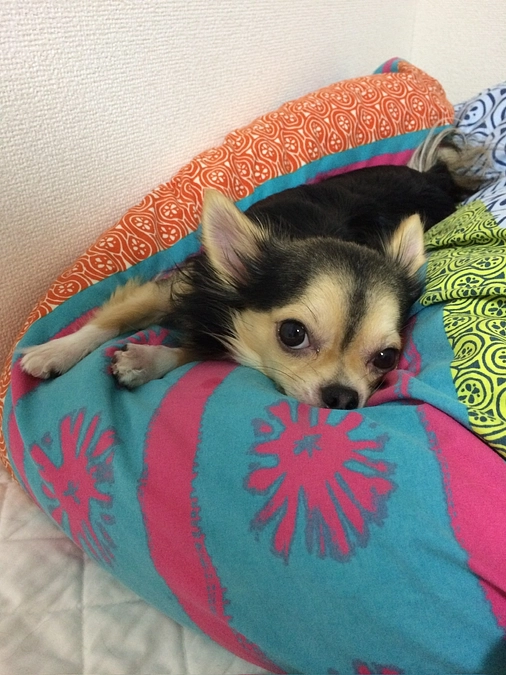 改）プロジェクト達成しました🎉🎊