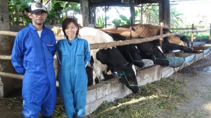 酪農不毛の地、フィリピンで酪農を続ける日本人夫婦を応援して下さい！