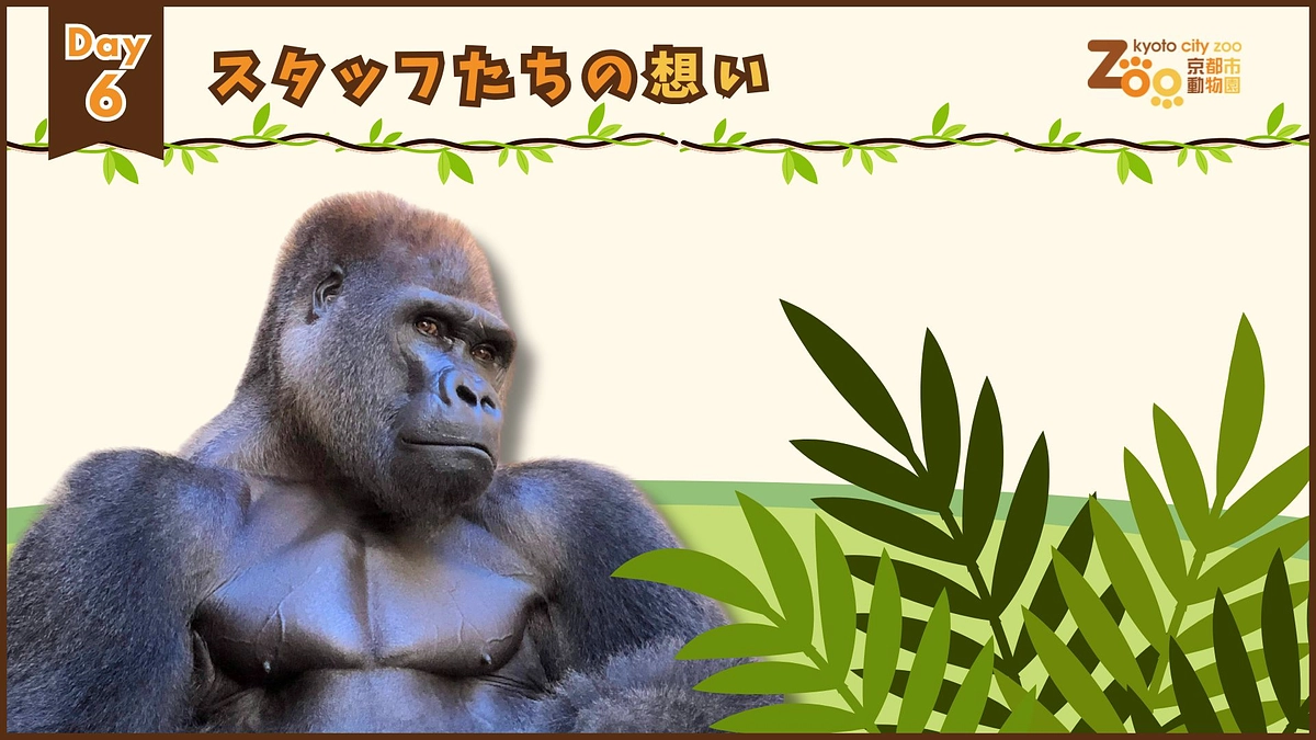 【クラファンWEEK｜Day6】スタッフたちの想い