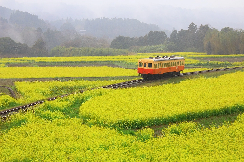 【返礼品紹介】「房総横断鉄道・千葉気動車王国」 小湊鐵道コラボ　カレースプーン+ボールペン