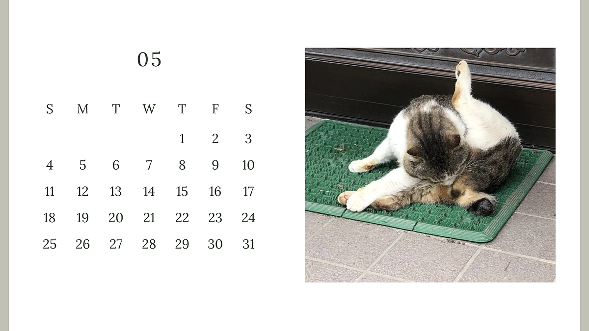 まずは父猫の避妊手術をおえました