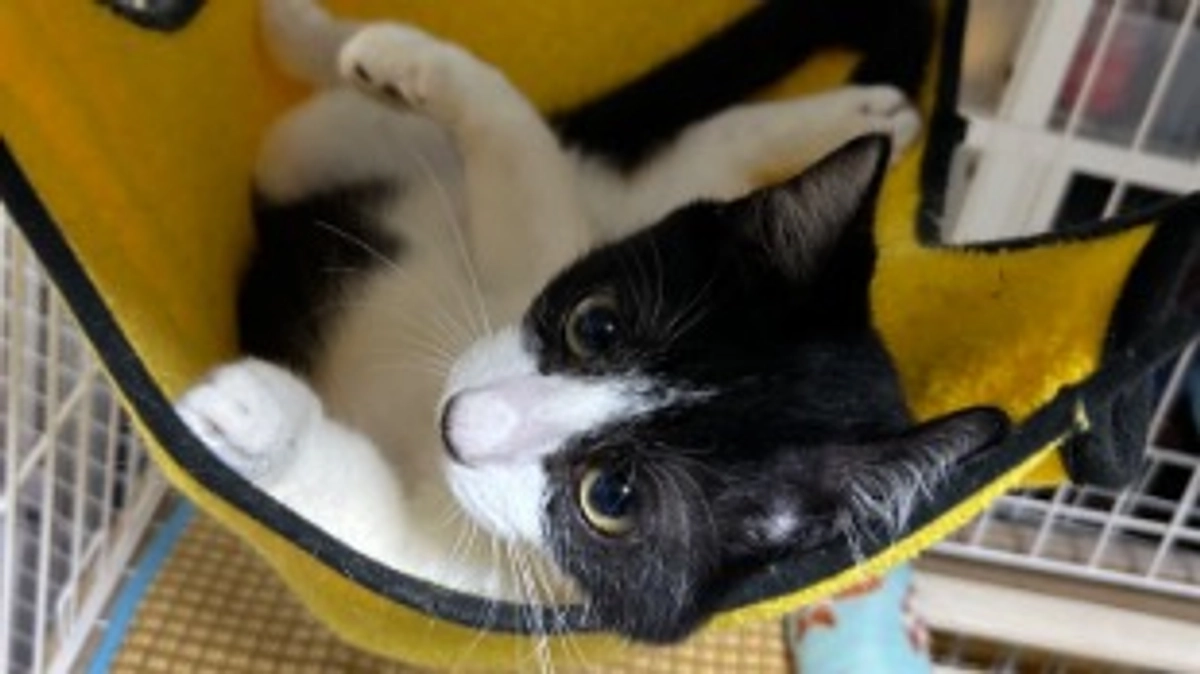 10月17日 〜 日常報告② 〜保護から56日目