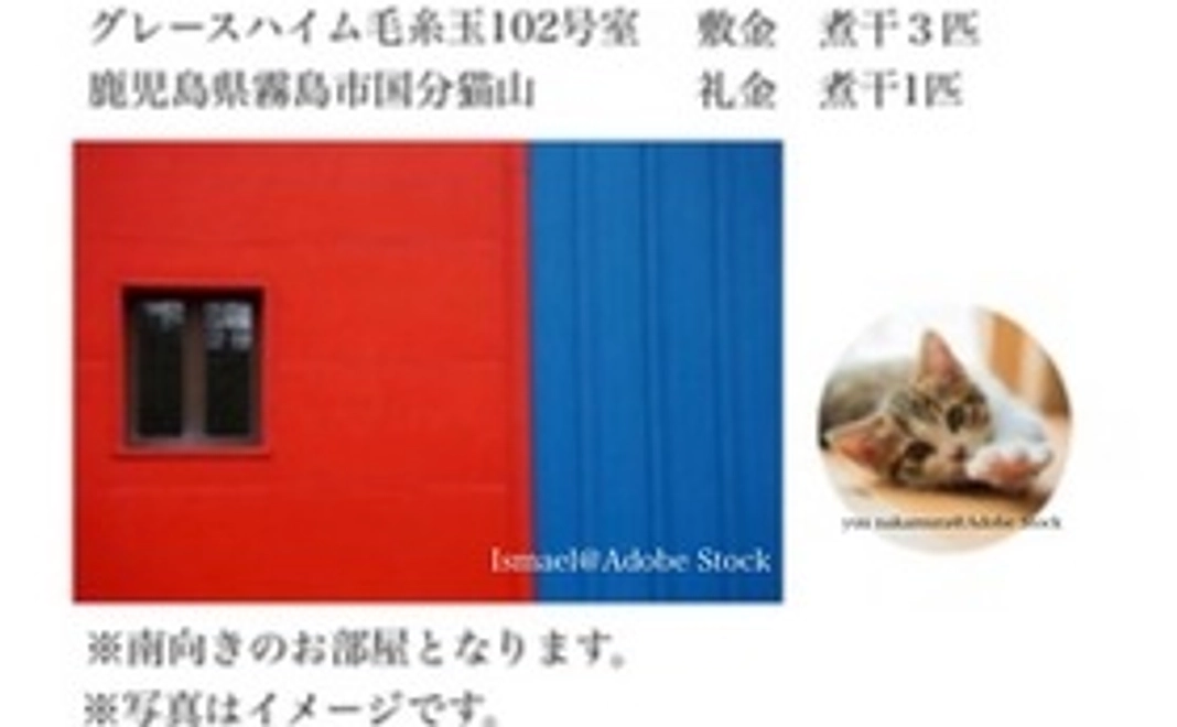 保護猫専用アパート仲介業　　　猫山不動産始動応援3000円コース