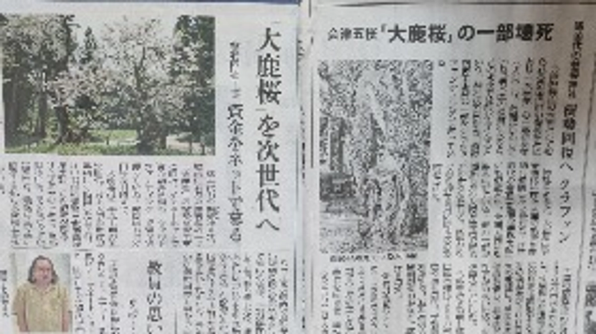 ご支援50万円を超えました