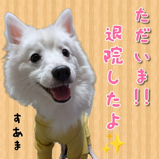 ㊗️退院✨✨🎉