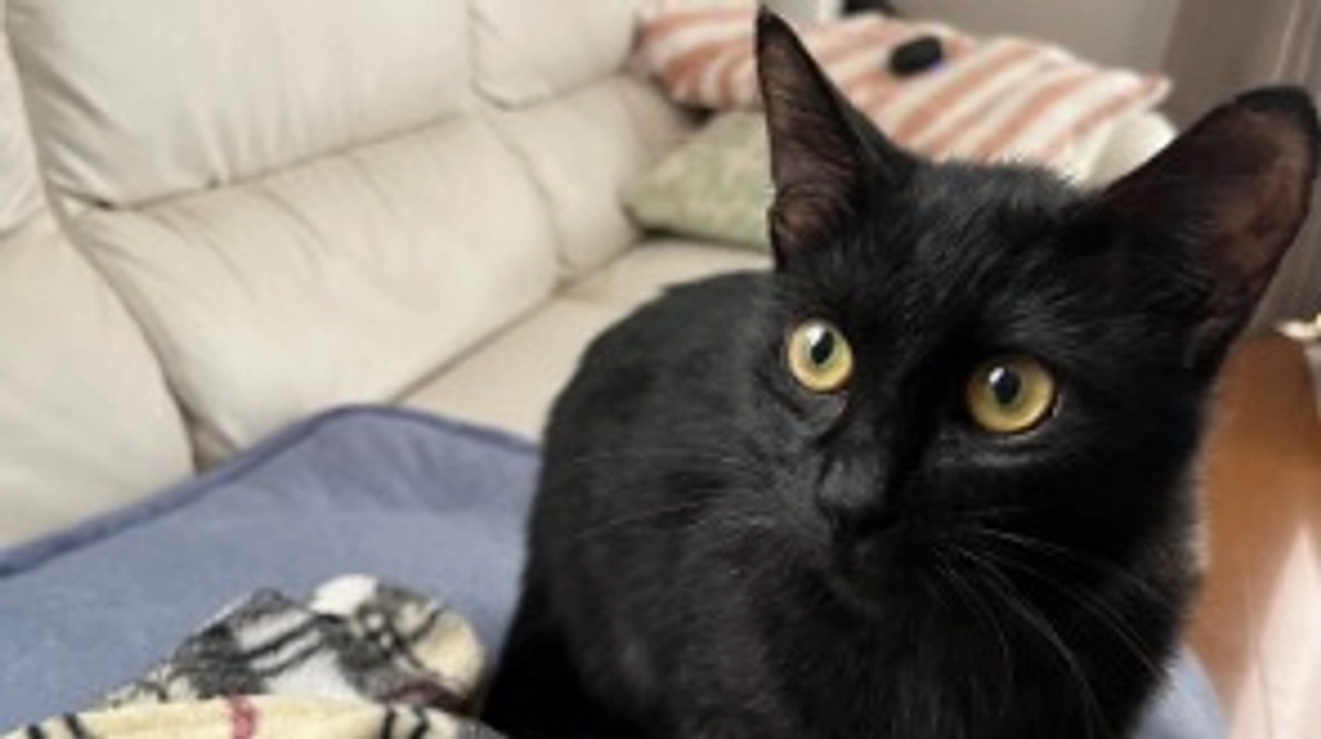 おはぎ、初めてのお風呂！