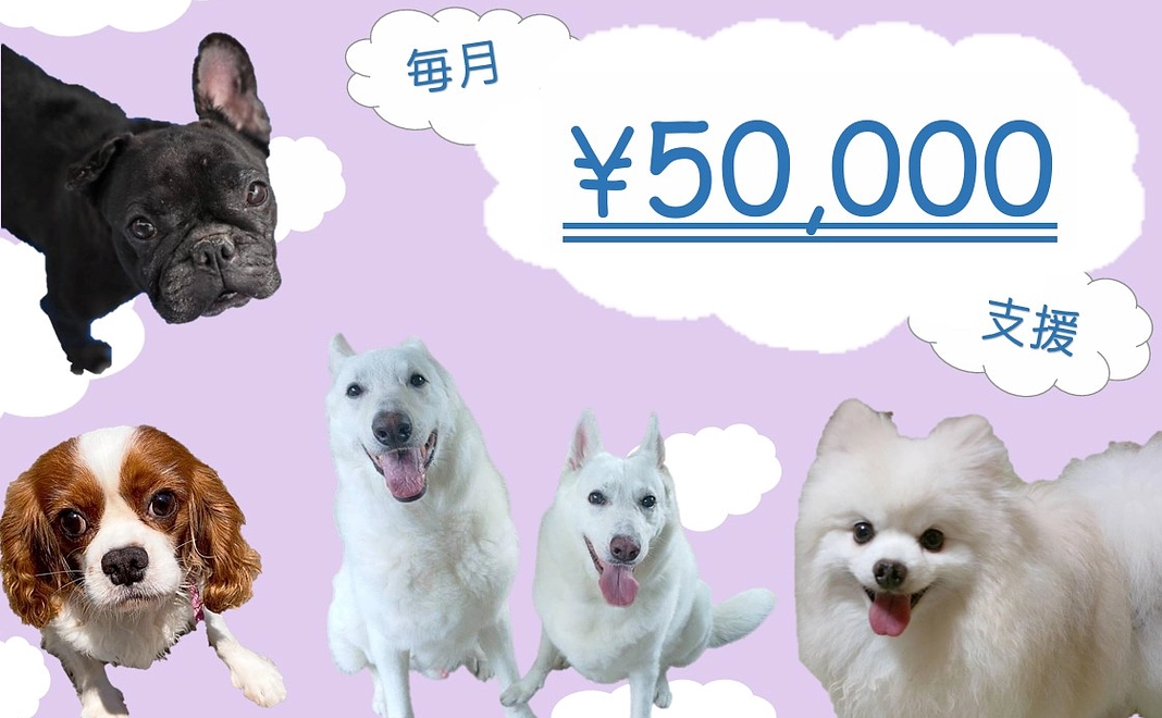 毎月50000円コース