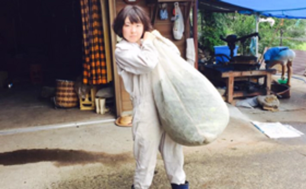 私たちが育てた「阿波晩茶(約28g)」をプレゼント