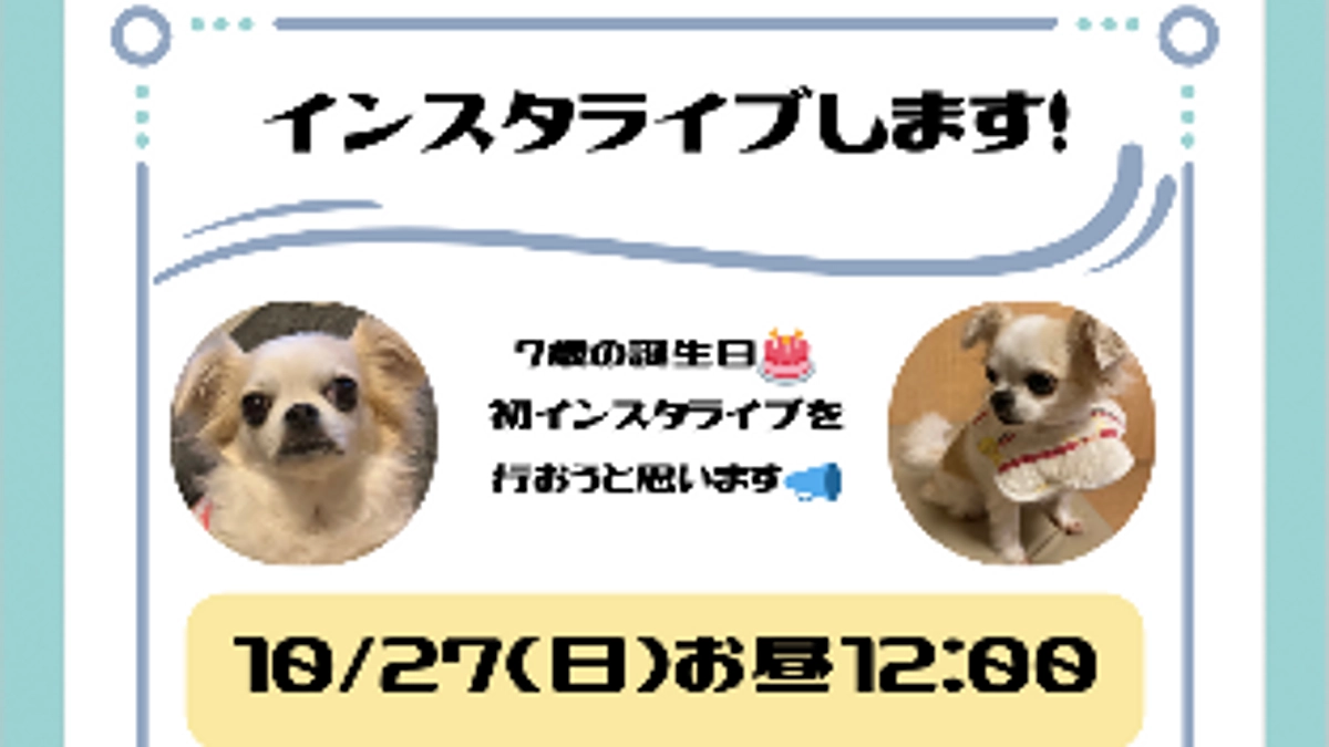 インスタライブのお知らせ
