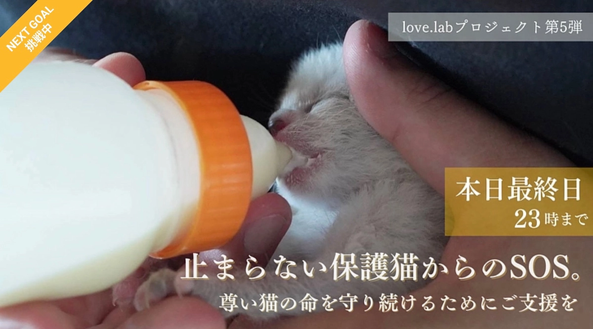 【残り2時間】プロジェクト終了まで、あと2時間となりました！