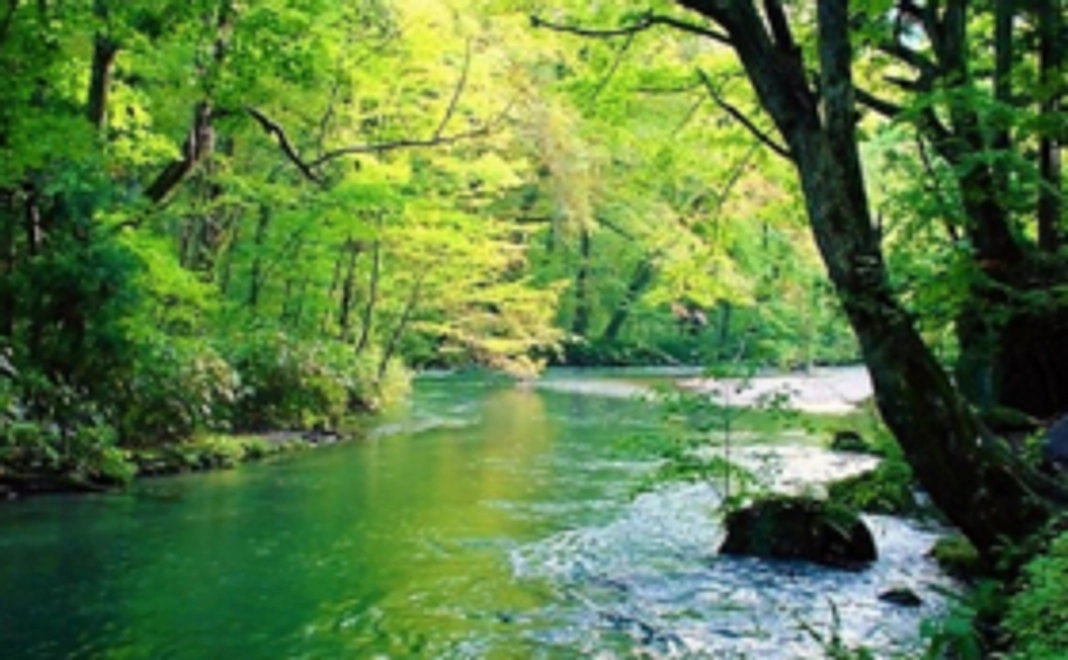 ご支援者様として、お名前をブログで紹介させていただきます!