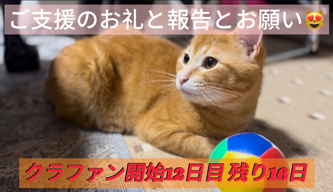 ご支援のお礼と報告とお願い🙇‍♂️（3/11分）
