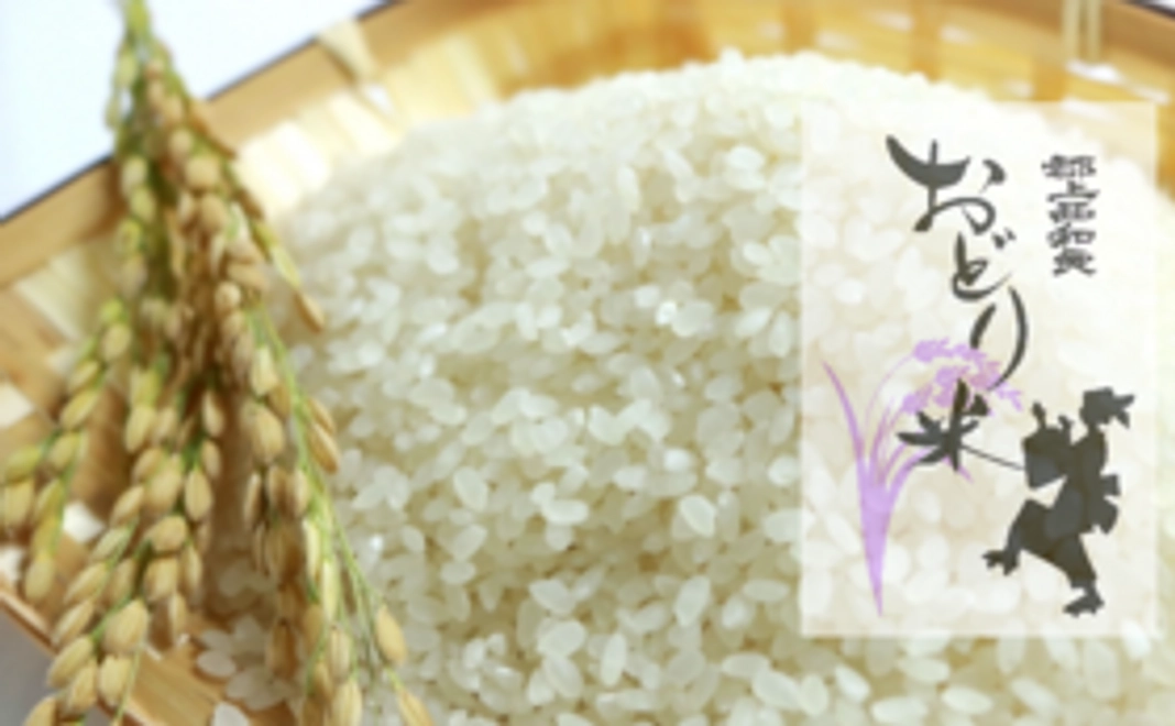 サンクスメール&郡上西和良おどり米（3kg）　