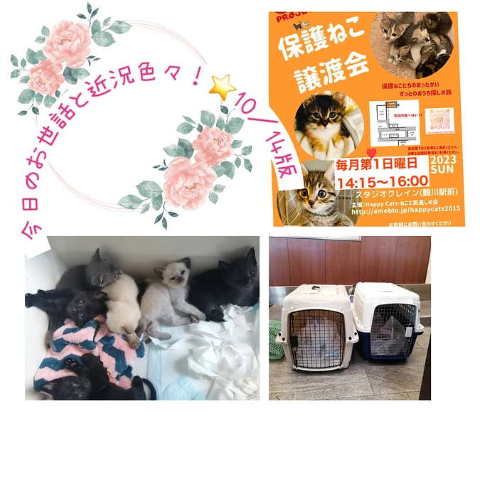 今日のお世話と近況報告⭐️10／14版