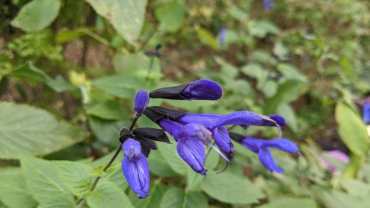 双極症という病気の認知度向上を自分の所属するコミュニティで実現する