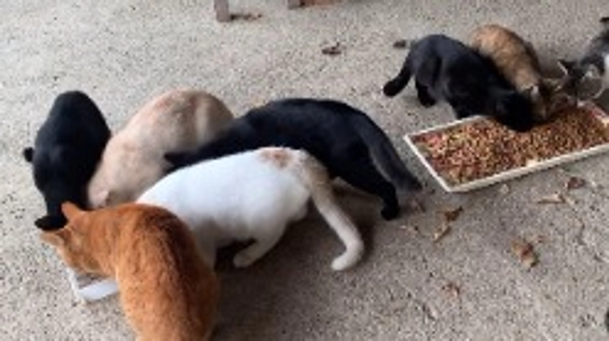 クラウドファンディング終了まで残り5時間になりました❗️