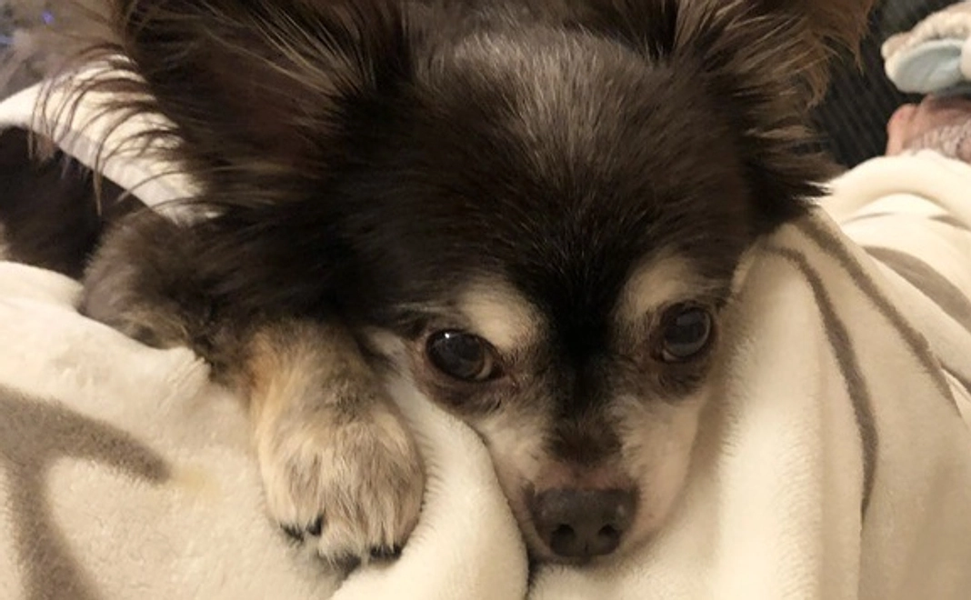 (1)感謝のメールと活動報告