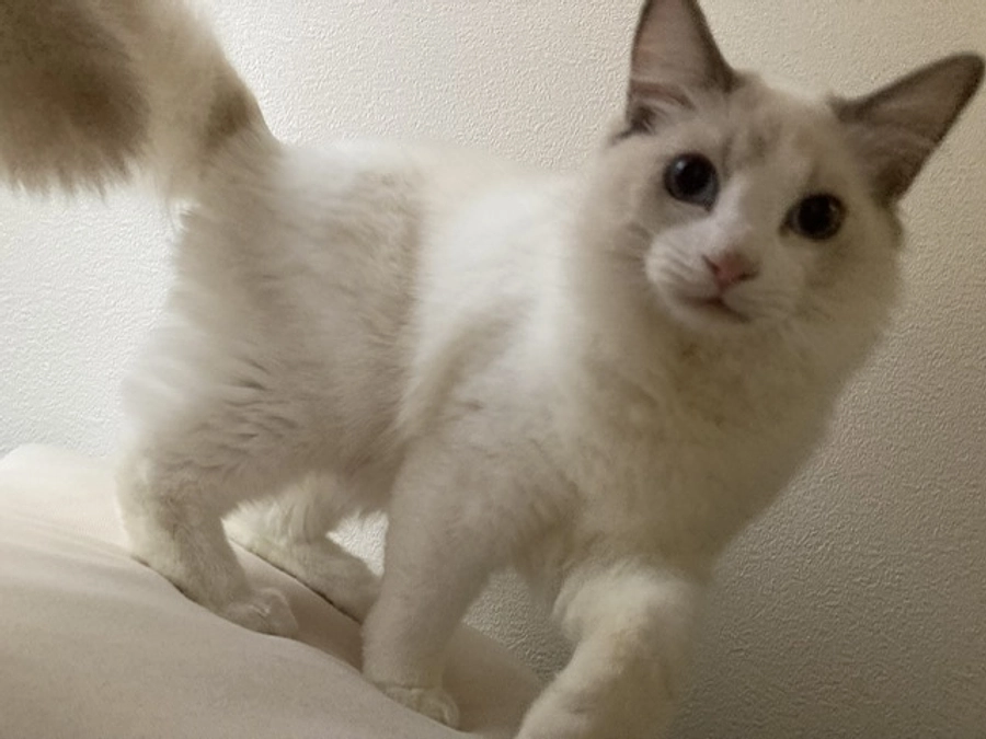 投薬３７日目(2023.4.18)