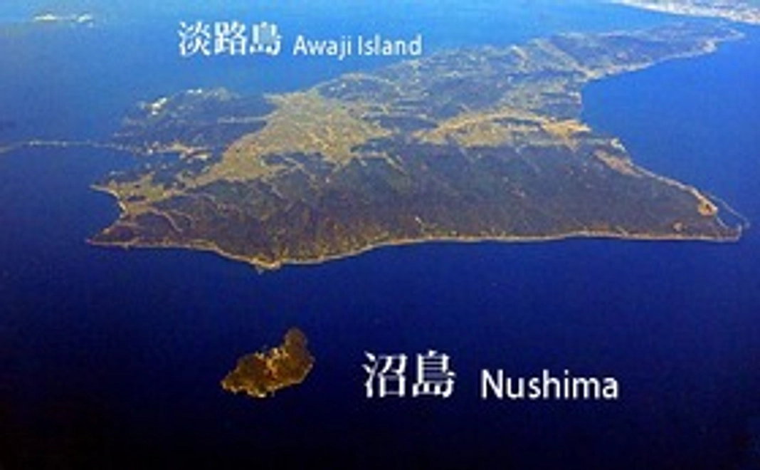 感謝のメールをお送りします。