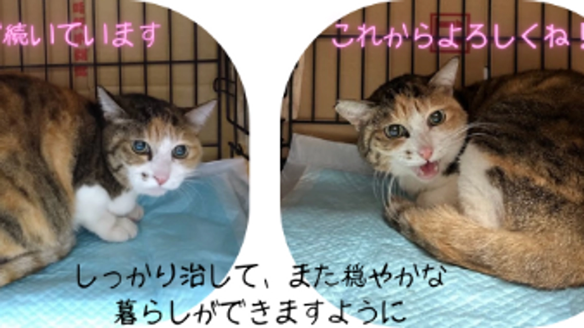 シーズン突入です！