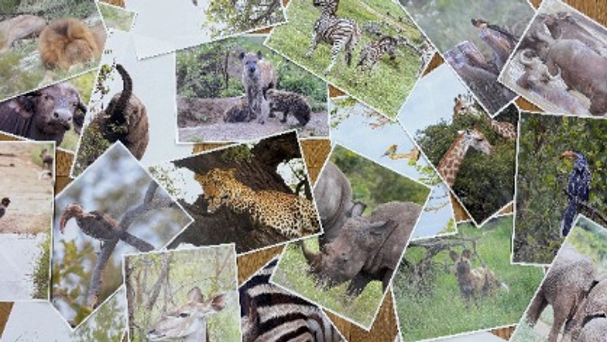 -ご支援のお願い- 残り72時間で223,000円のご支援が必要です