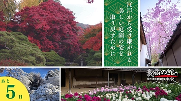 田中本家博物館｜倒木の危機。事故を防ぎ、日本庭園再生にご支援を！