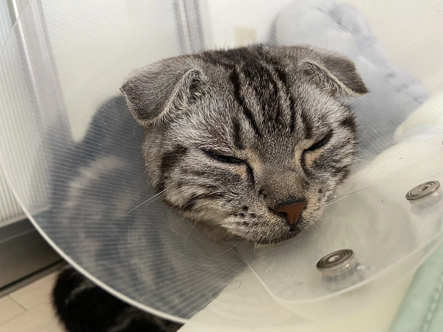 2023.6.30🔥 #闘病生活 73日目🔥