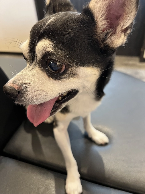 昨日は病院の検査日でした🏥