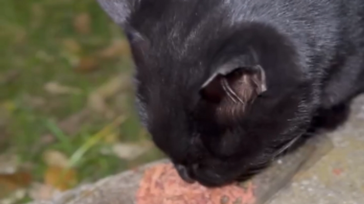 僕のルーティン