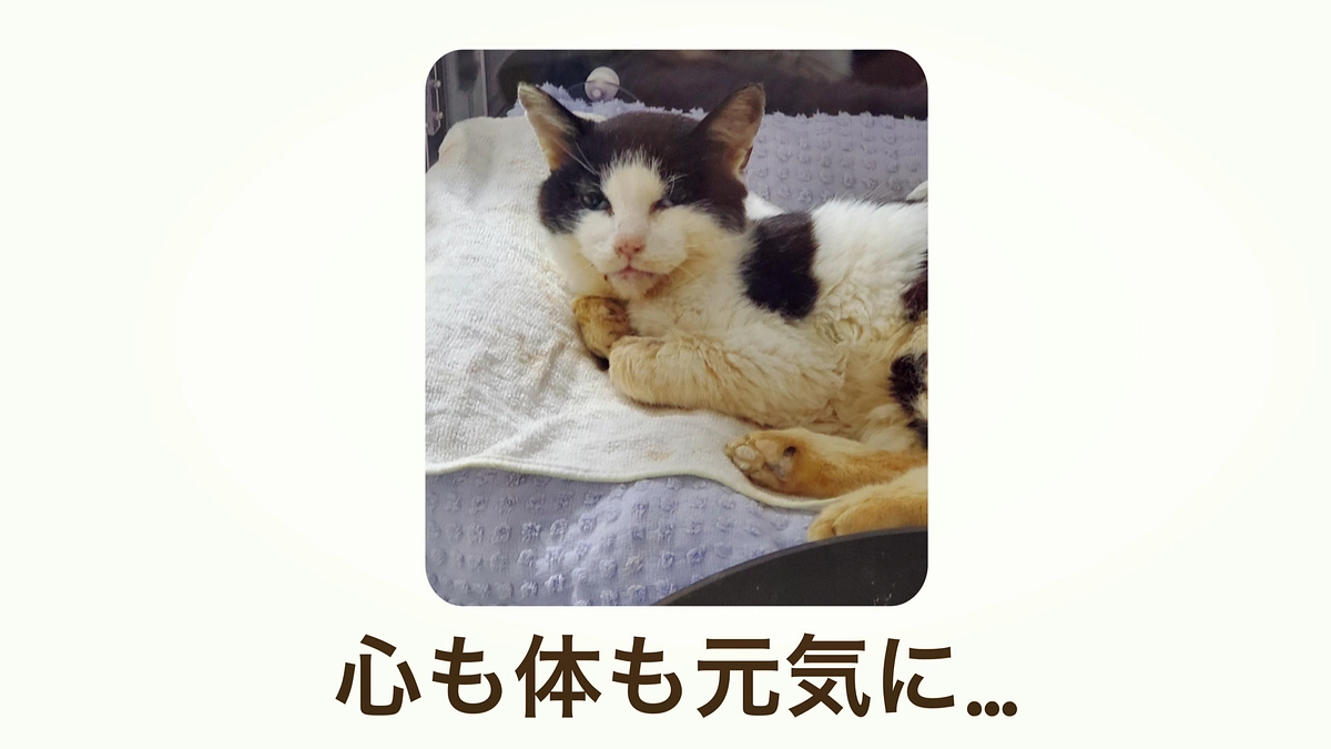 元気にな〜れ！幸せにな〜れ！