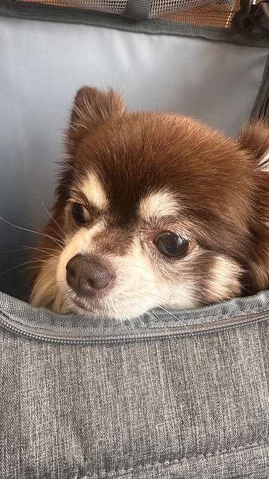 11月の検査に行ってきました！