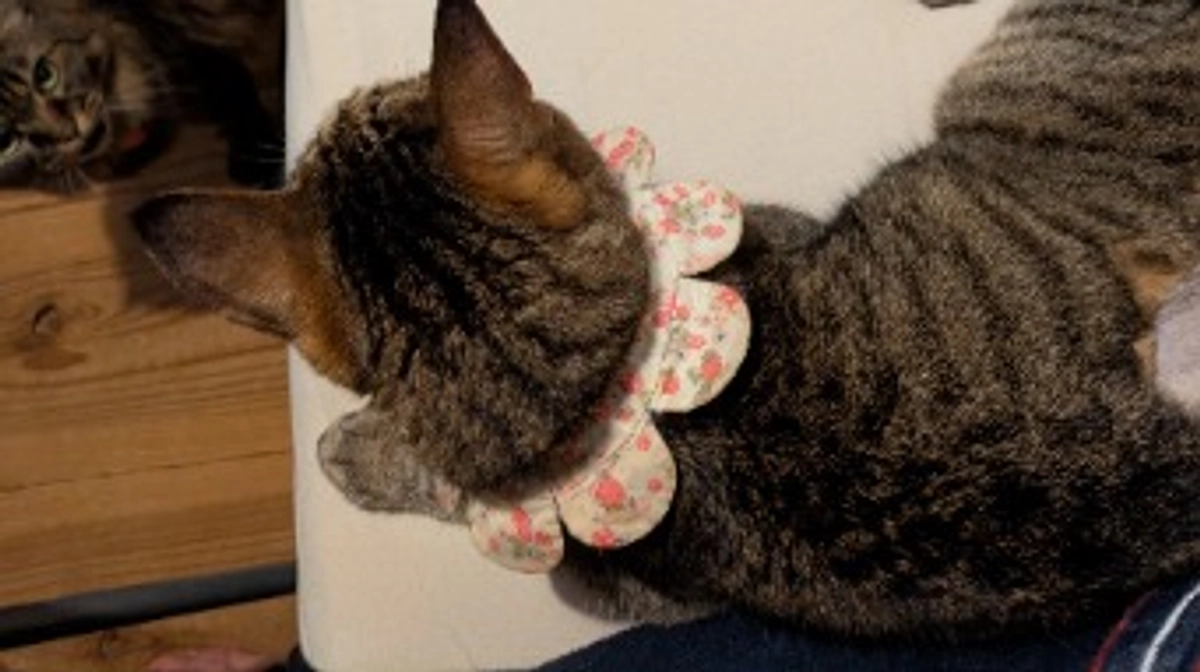 4月のうちの子の医療費