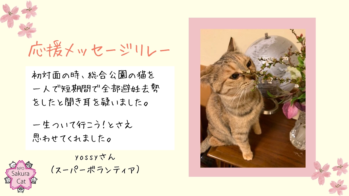 【達成まであと24万円！】スーパーボランティアリレーVol6（yossyさん）