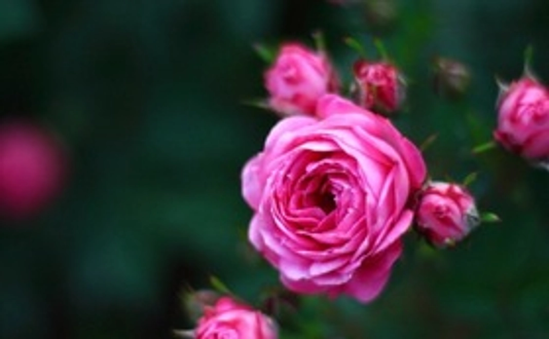 感謝のメールと活動報告