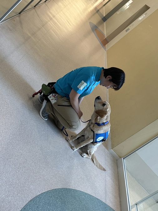 朝日新聞に掲載していただきました！