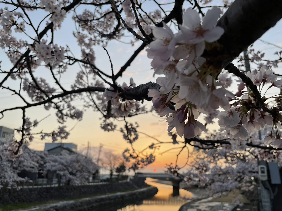 応援ありがとうございます。達成率50パーセント超えました！