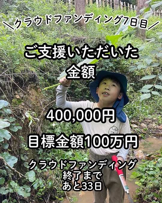 プロジェクト公開から7日目