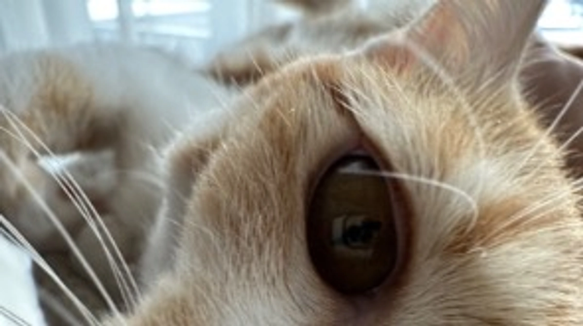 投薬59日目（プロジェクト開始19日目）