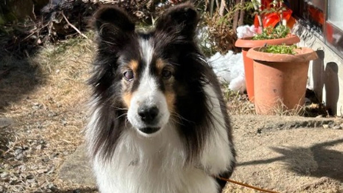 クラファン開始１０日が経ちました！！