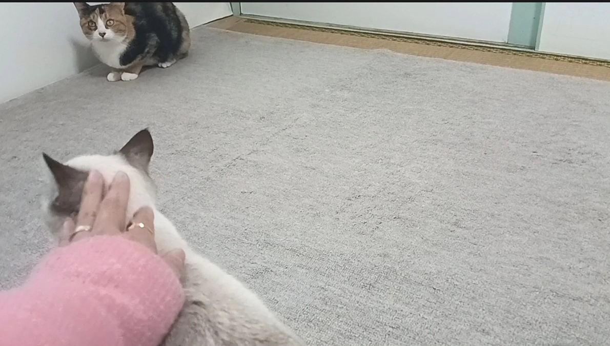 寒くなりました🥶