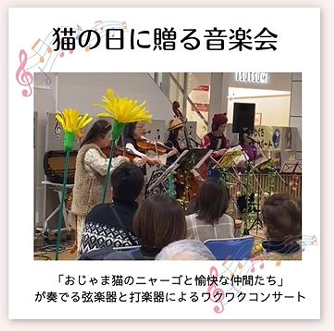 猫の日に贈る音楽会開催のご報告