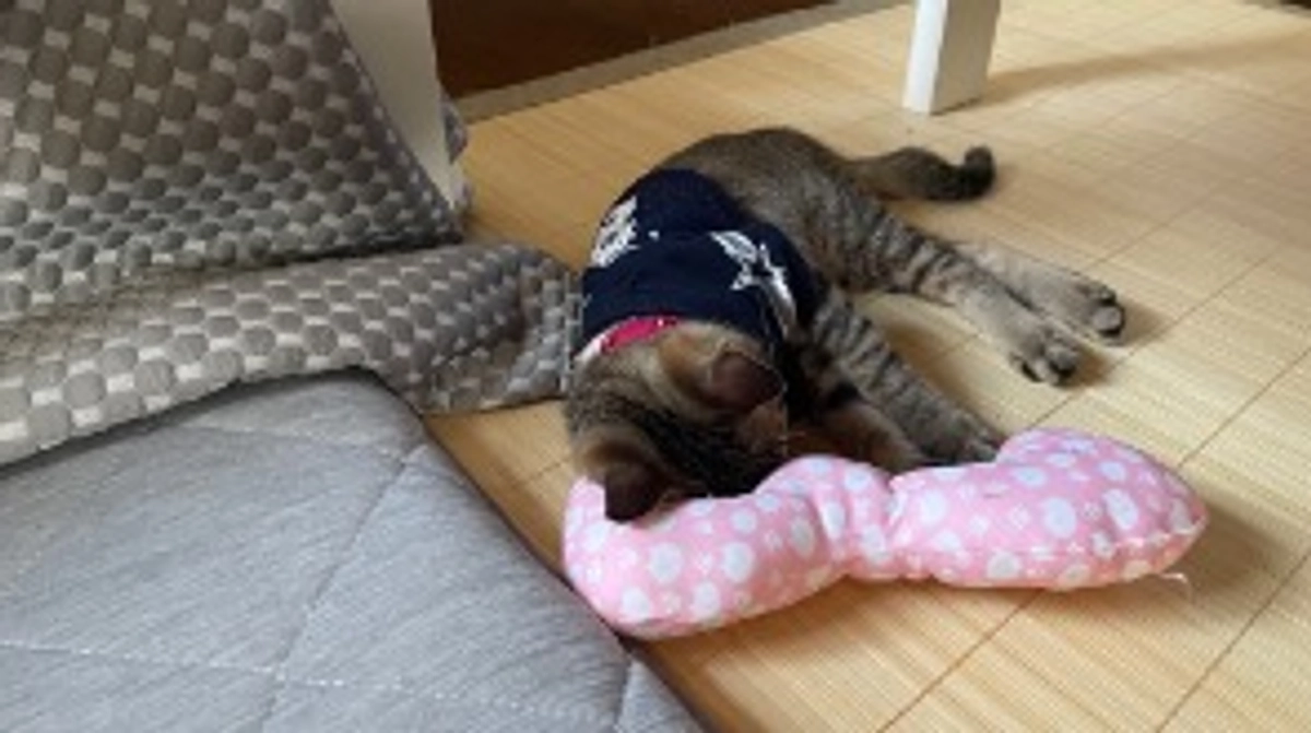 8/19(土)術後７回目の診察