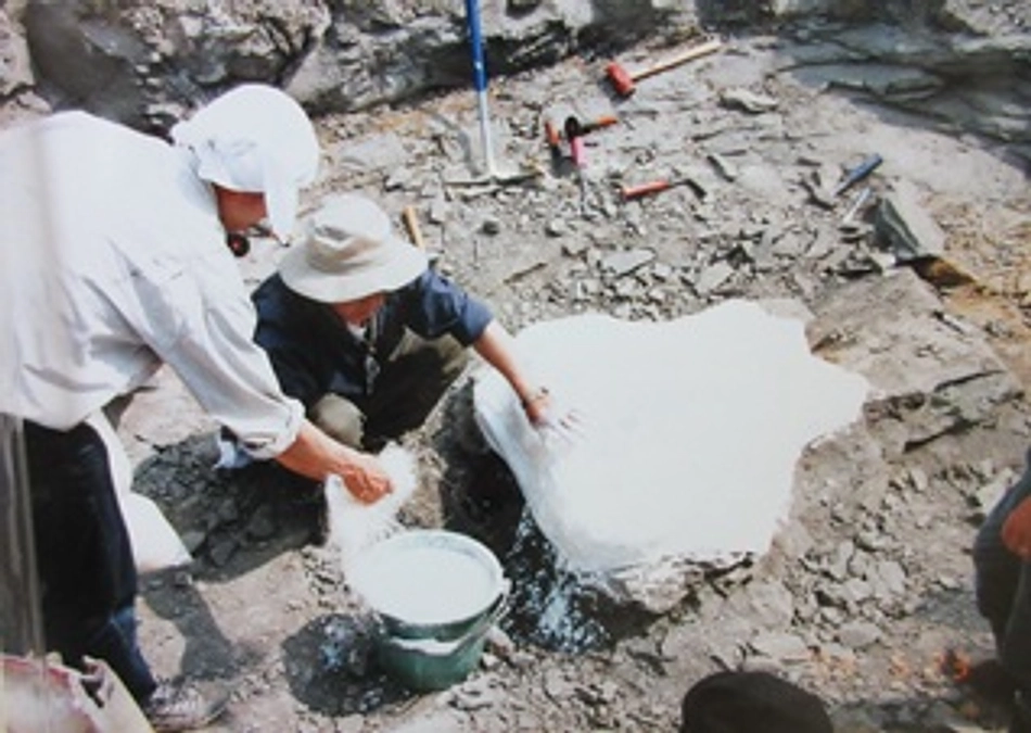 しんちゃんクジラ４