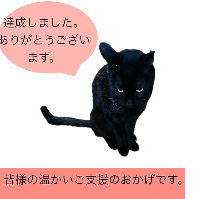 クラファン達成しました。