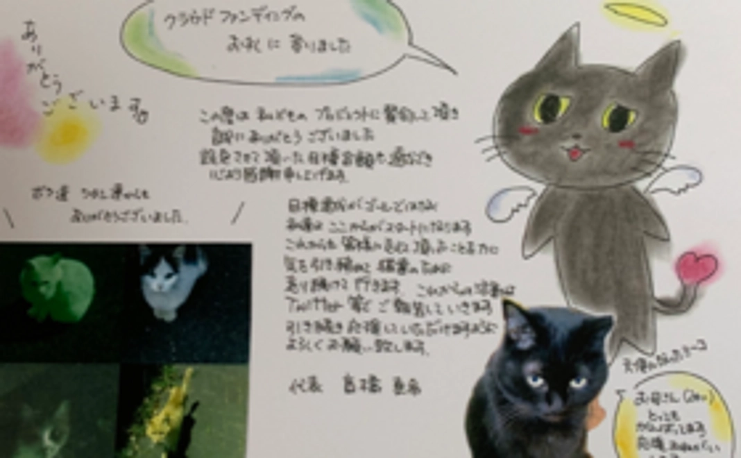 にゃんこポストカード