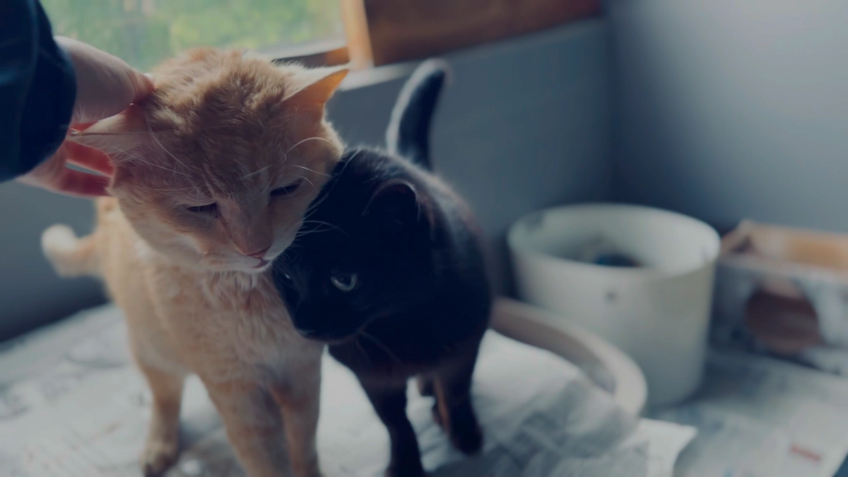 第一目標金額達成しました！！